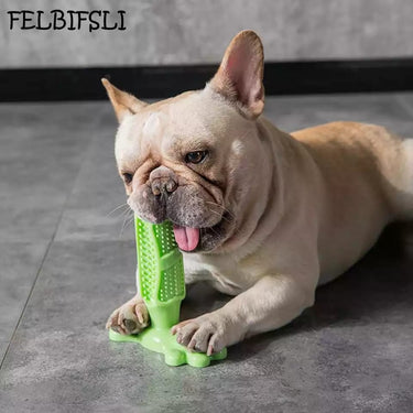 Cepillo Jueguete Pet